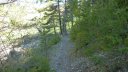 courchons-morietz_avr_2017_057.JPG