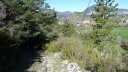 courchons-morietz_avr_2017_063.JPG