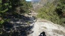 courchons-morietz_avr_2017_065.JPG
