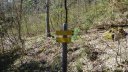 courchons-morietz_avr_2017_083.JPG