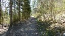 courchons-morietz_avr_2017_085.JPG