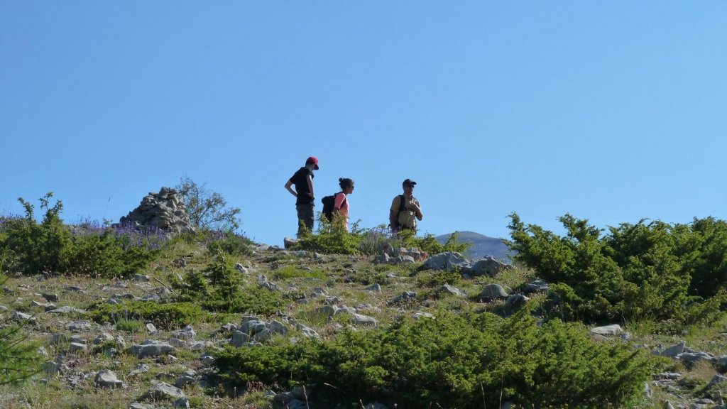 courradour_aout_2014_136.jpg