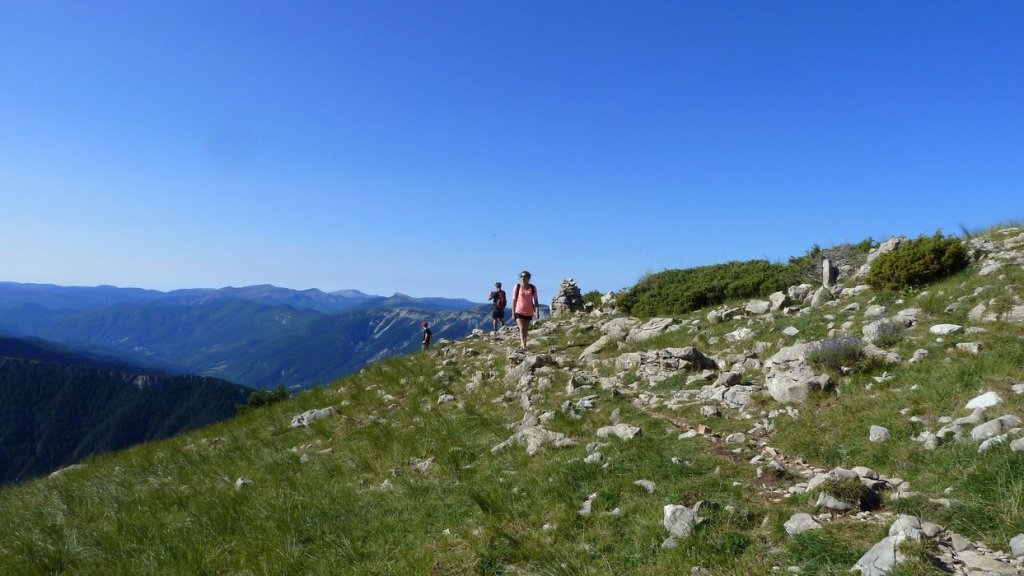courradour_aout_2014_148.jpg