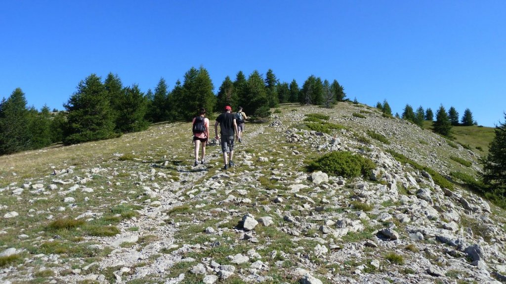 courradour_aout_2014_168.jpg