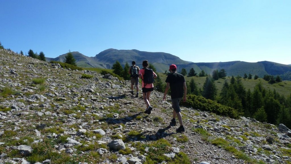 courradour_aout_2014_170.jpg