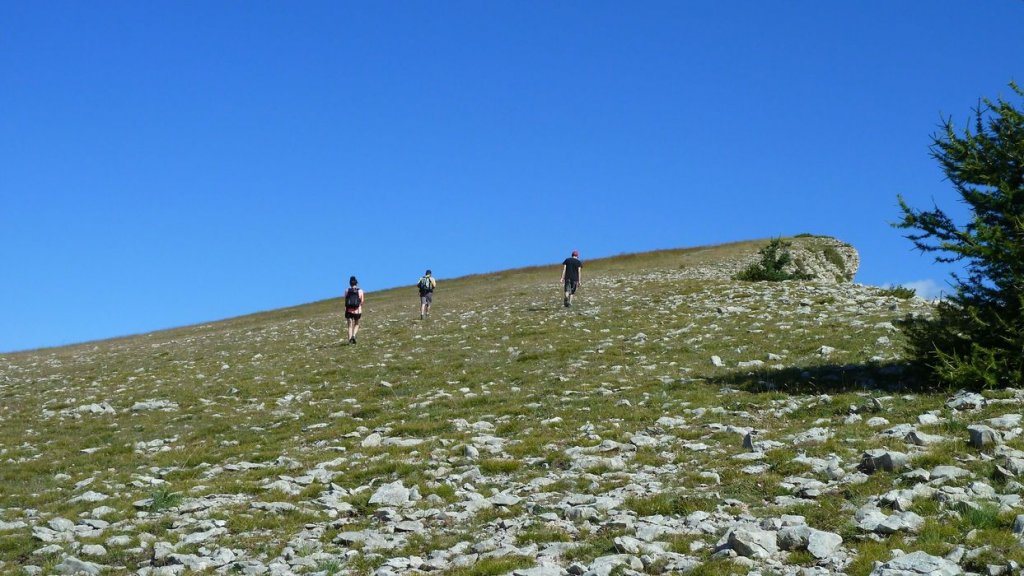 courradour_aout_2014_254.jpg