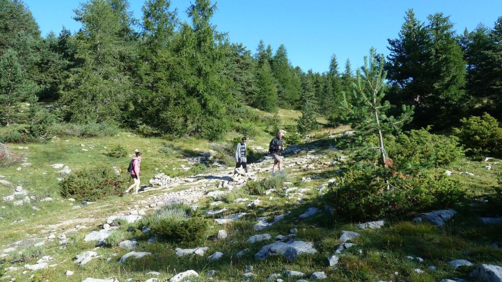 courradour_aout_2014_76.jpg