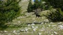 courradour_aout_2014_220.jpg