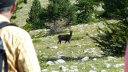 courradour_aout_2014_228.jpg