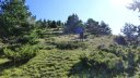 courradour_aout_2014_94.jpg