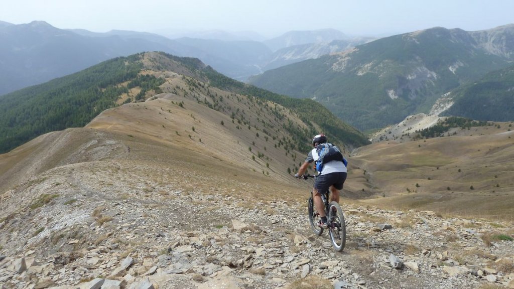 crete_autapie_espiniers_2012_046.jpg