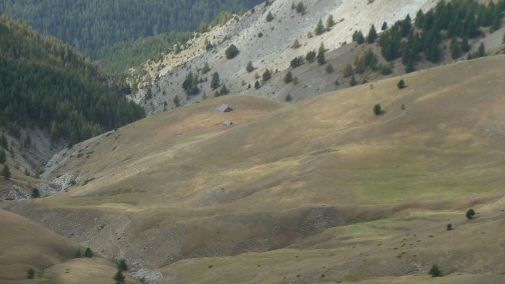 crete_autapie_espiniers_2012_048.jpg