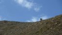crete_autapie_espiniers_2012_016.jpg