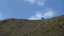 crete_autapie_espiniers_2012_018.jpg
