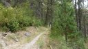 crete_autapie_espiniers_2012_096.jpg
