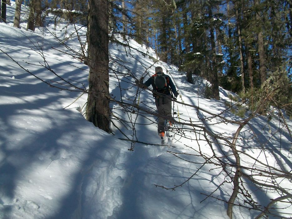 100_4909.JPG