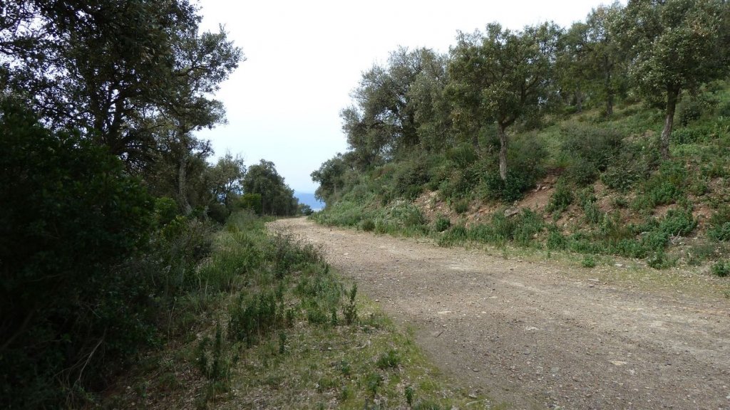 cretes_de_maraval_mars_2014_22.jpg