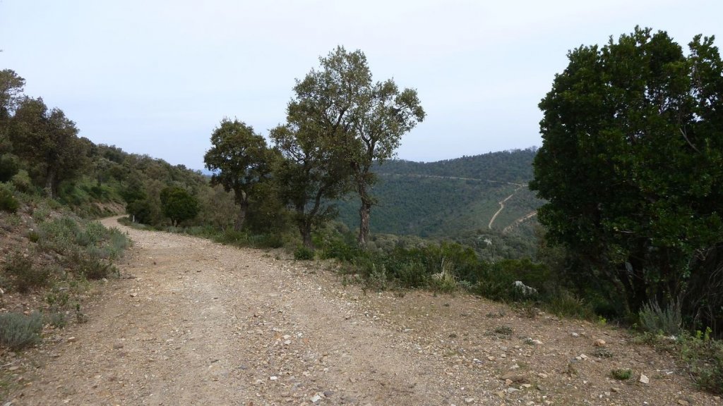 cretes_de_maraval_mars_2014_24.jpg