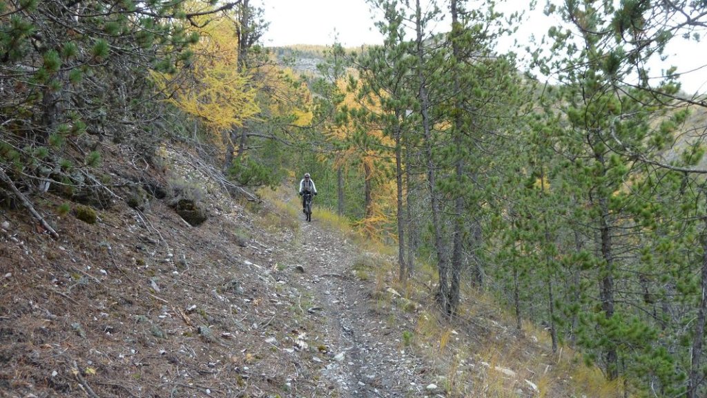 croix_du_puy_nov_2012_068.jpg