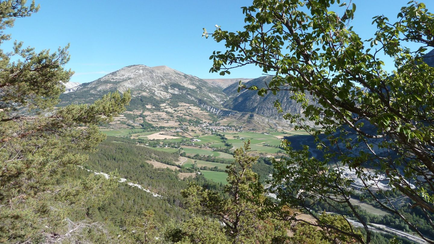 P1010880.JPG
