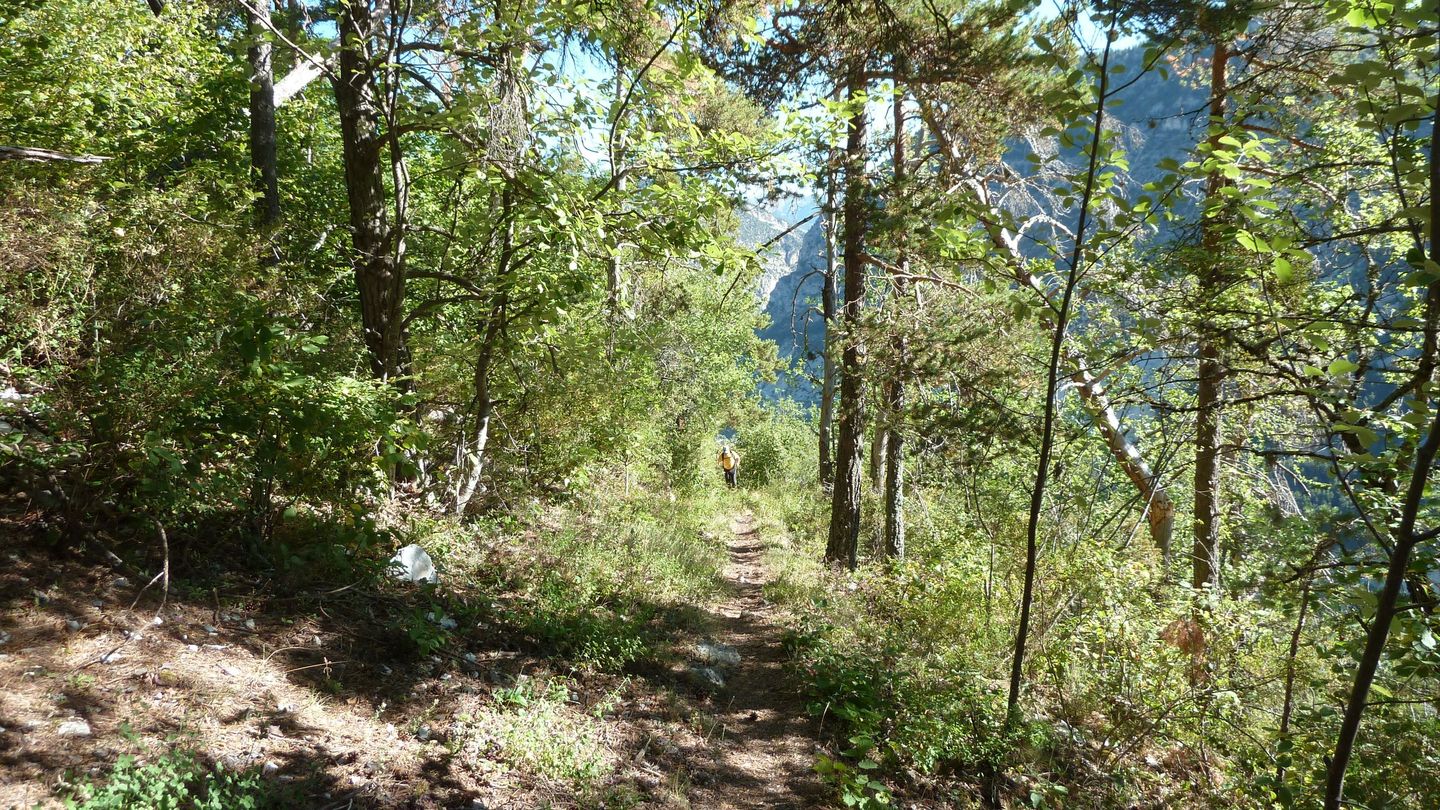 P1010884.JPG