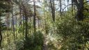P1010865.JPG
