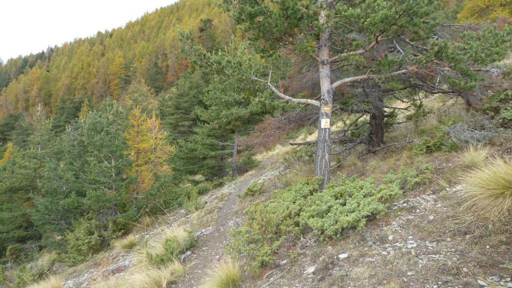 croix_du_puy_2011_045.jpg