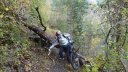 croix_du_puy_2011_059.jpg