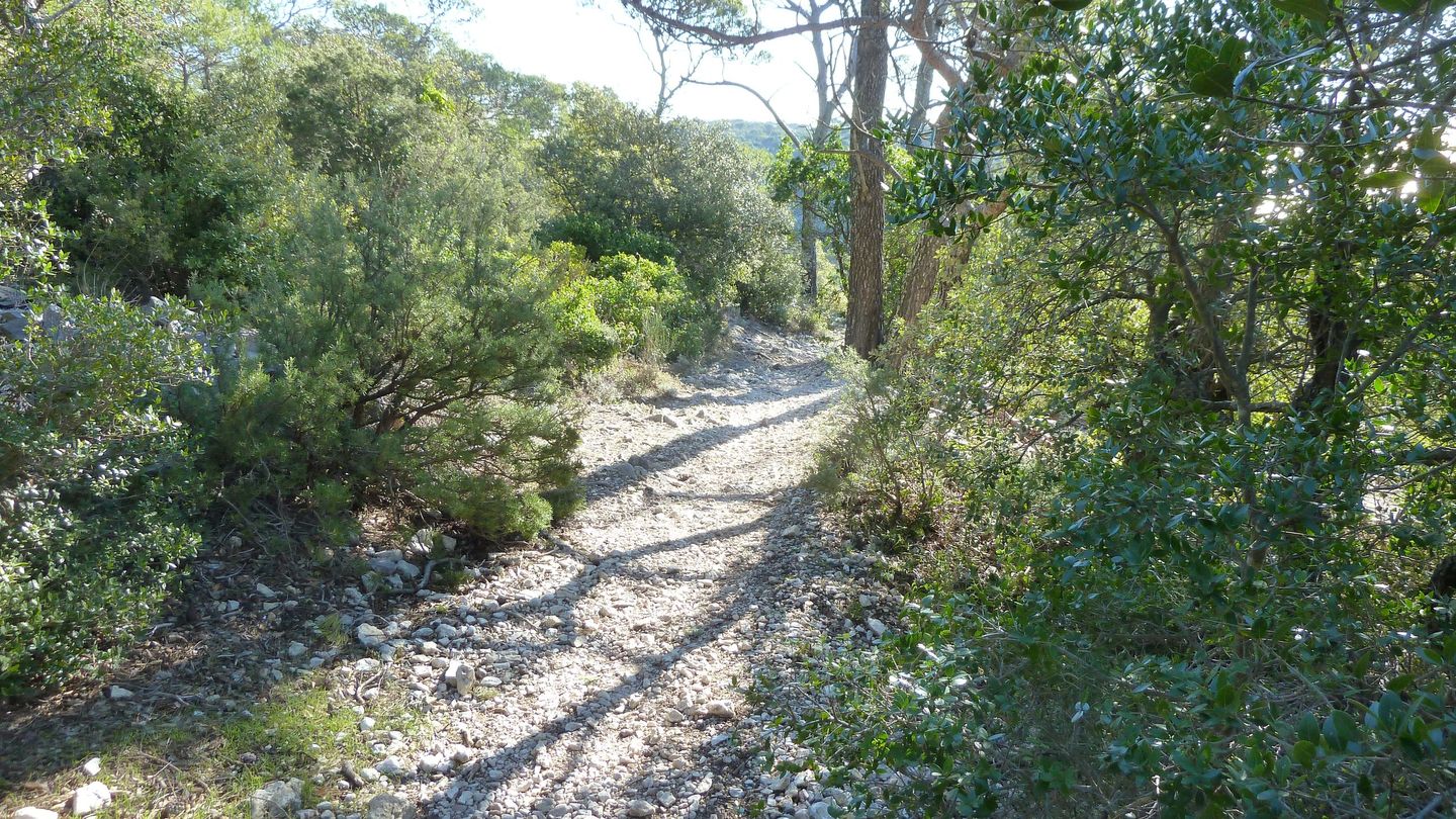 croix_faron_fev_2018_063.JPG