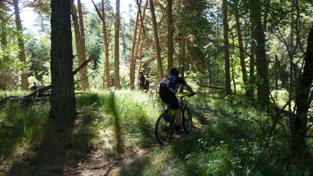croix_du_ouy_roufleiran_2012_064.jpg