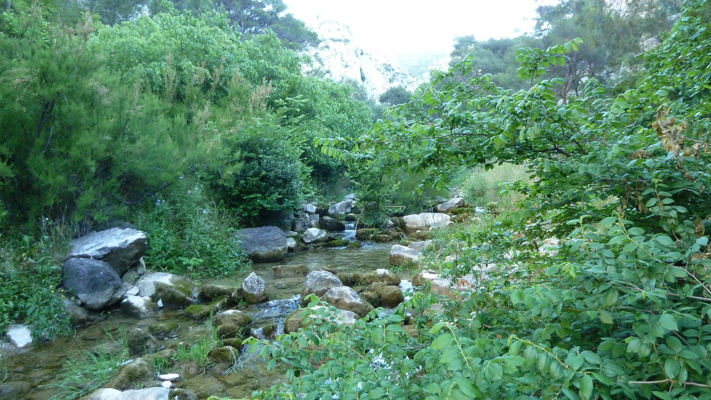 destel_mai_2017_06.JPG
