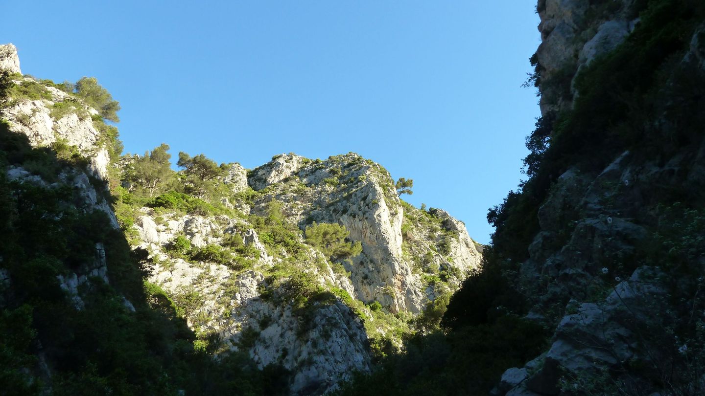 destel_mai_2017_14.JPG