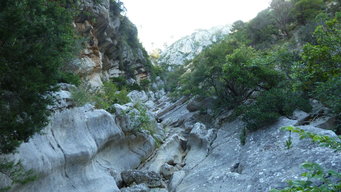 destel_mai_2017_24.JPG