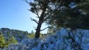 destel_mai_2017_43.JPG