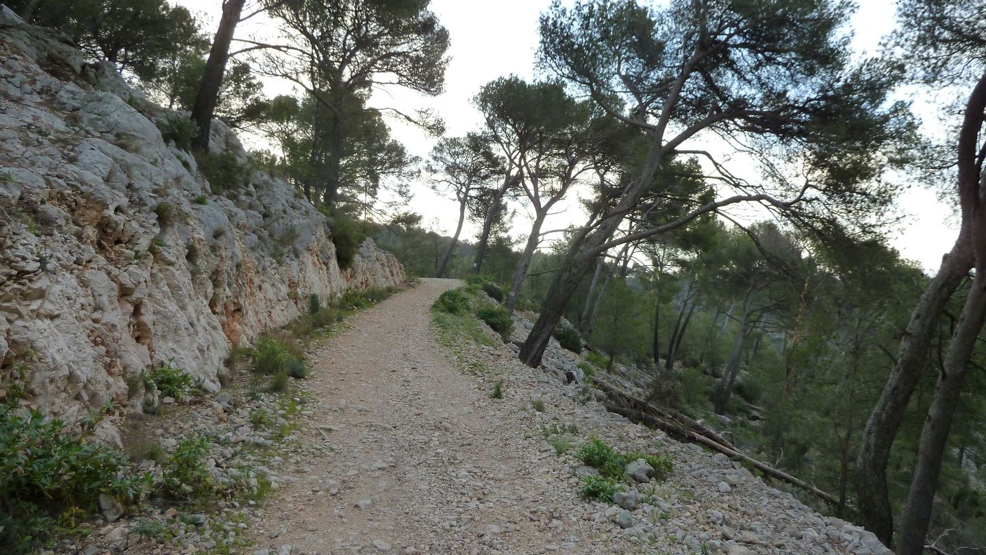 P1000035.JPG