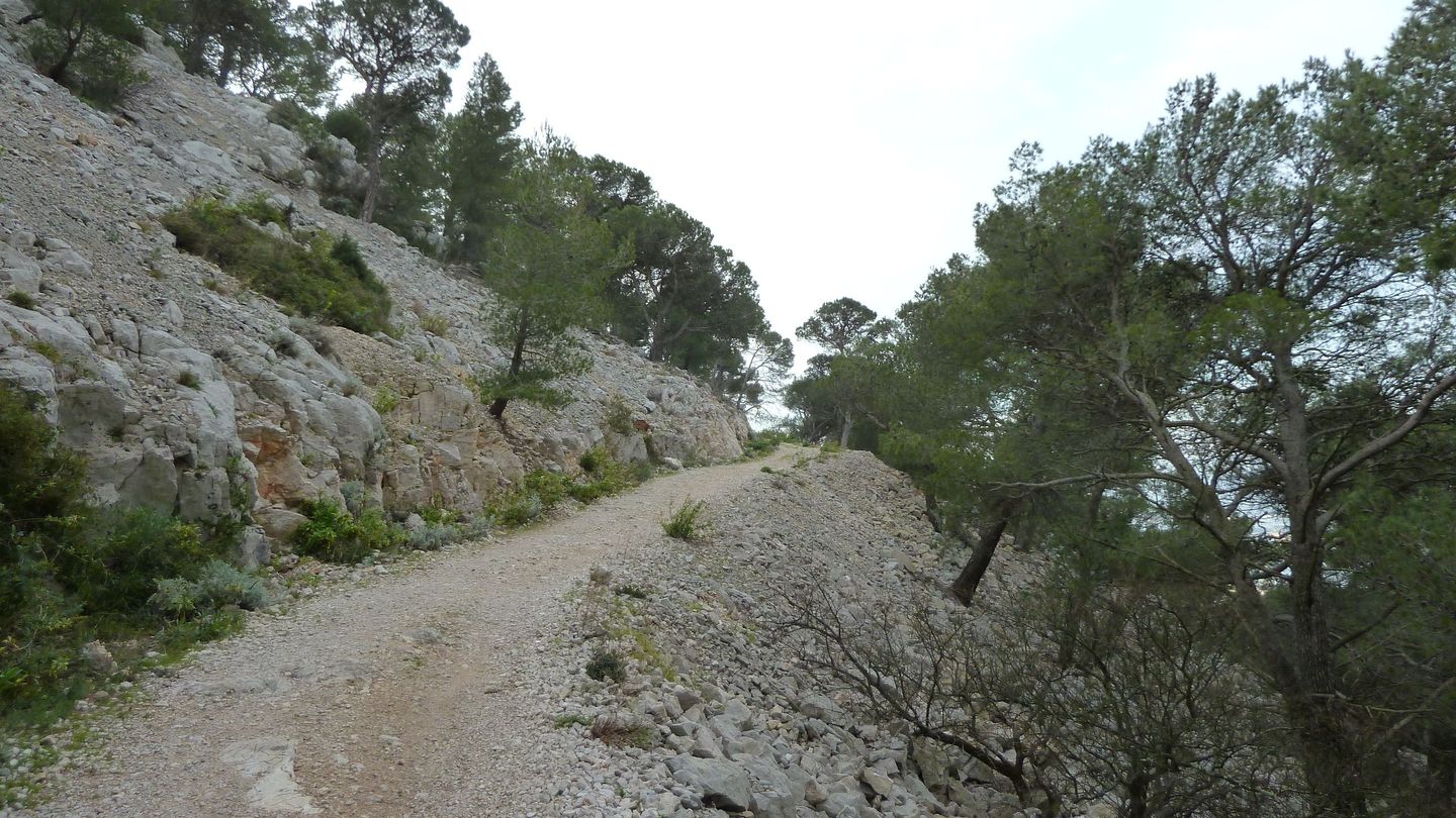 P1000037.JPG
