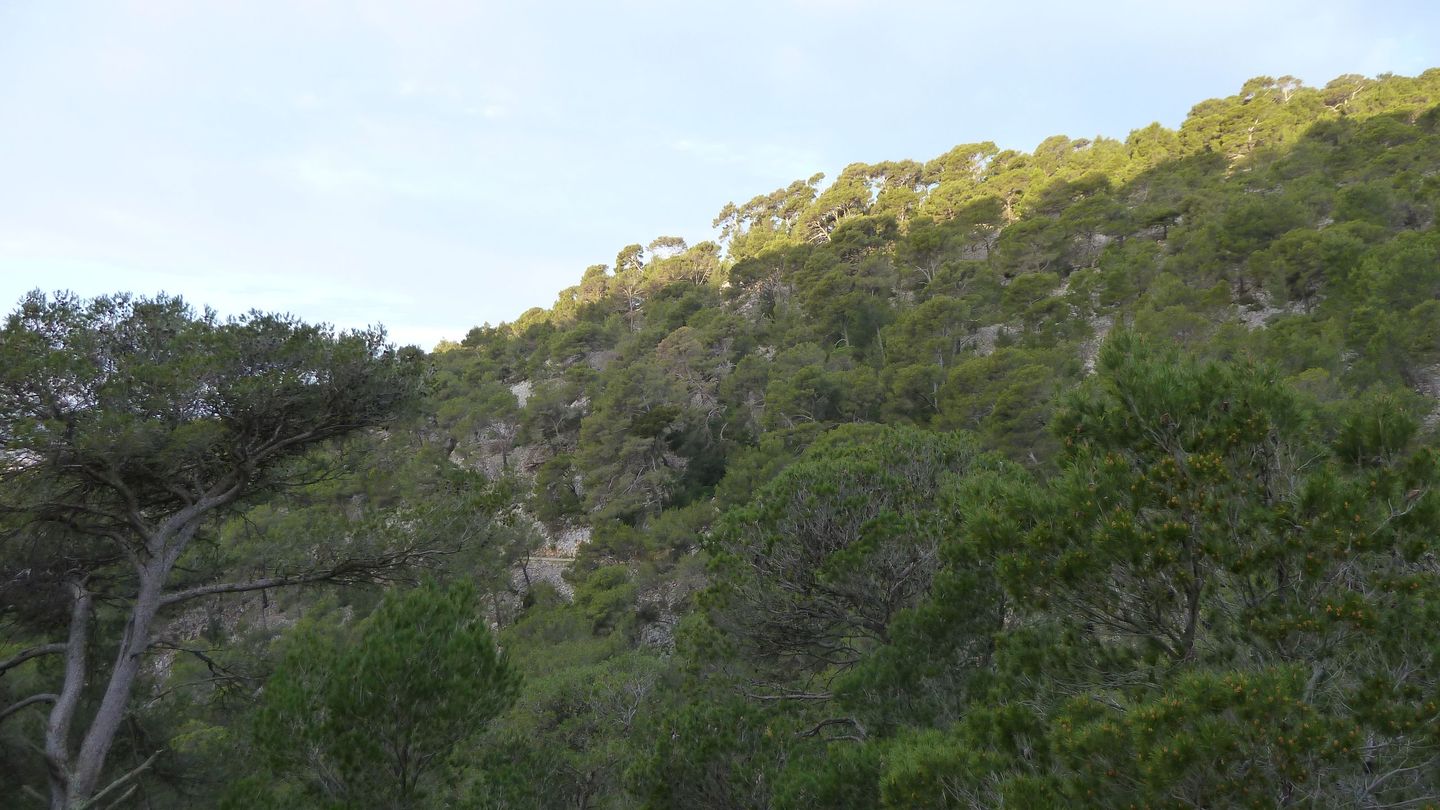 P1000039.JPG