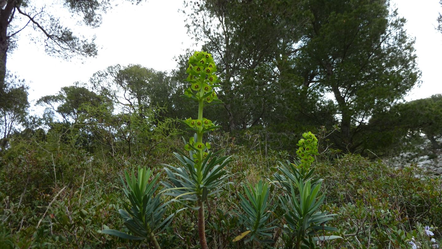 P1000043.JPG