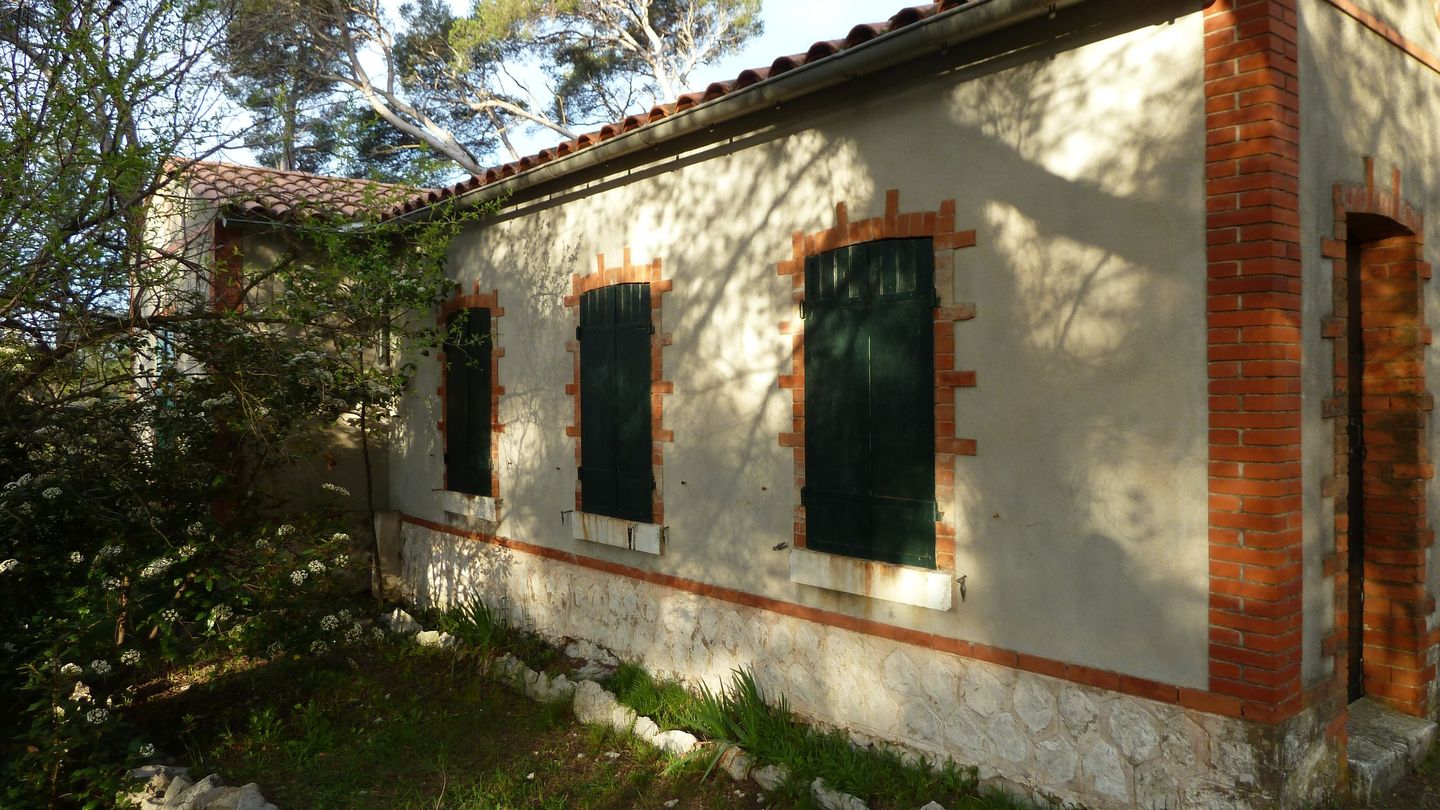 P1000050.JPG