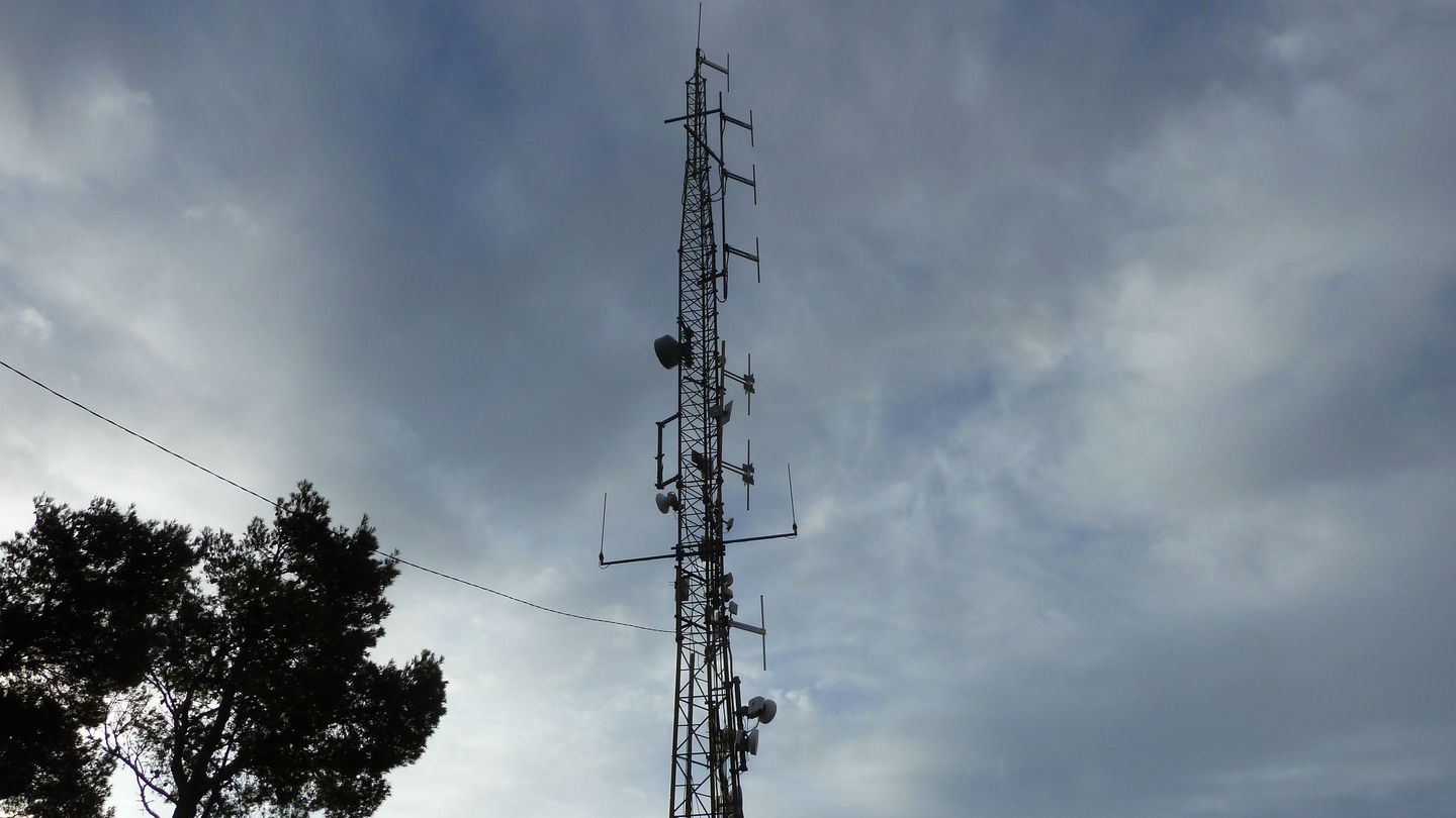 P1000067.JPG