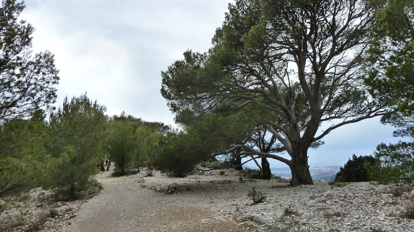 faron_complet_avril_2018_0101.JPG