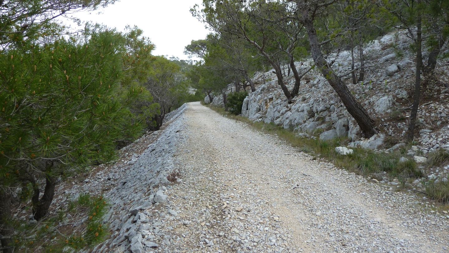 faron_complet_avril_2018_0113.JPG