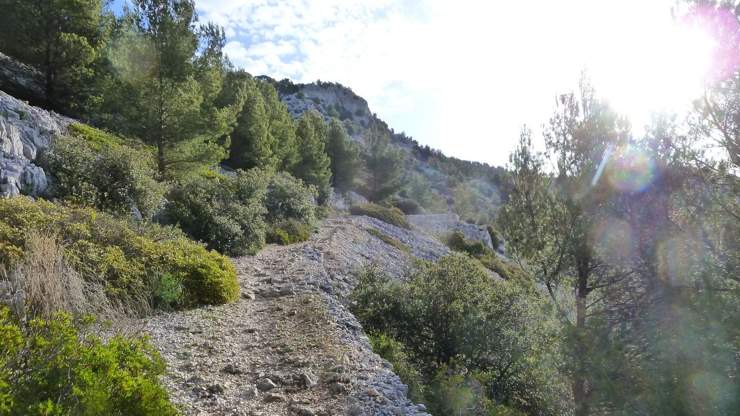 faron_complet_avril_2018_023.JPG