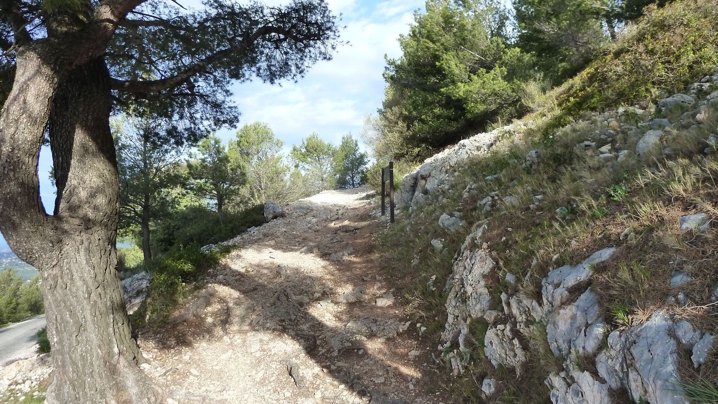 faron_complet_avril_2018_025.JPG