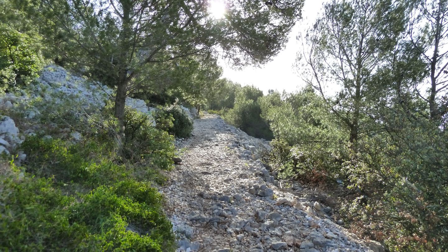 faron_complet_avril_2018_029.JPG