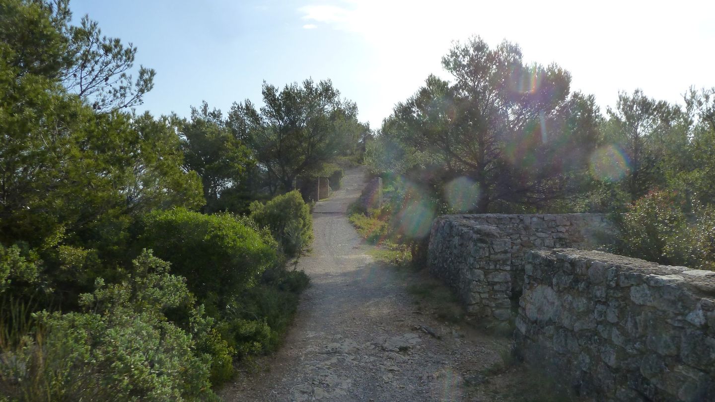 faron_complet_avril_2018_037.JPG
