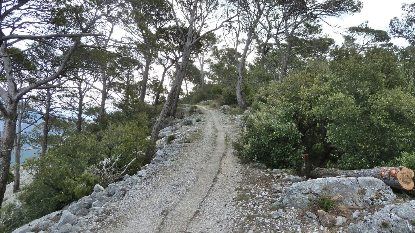 faron_complet_avril_2018_053.JPG
