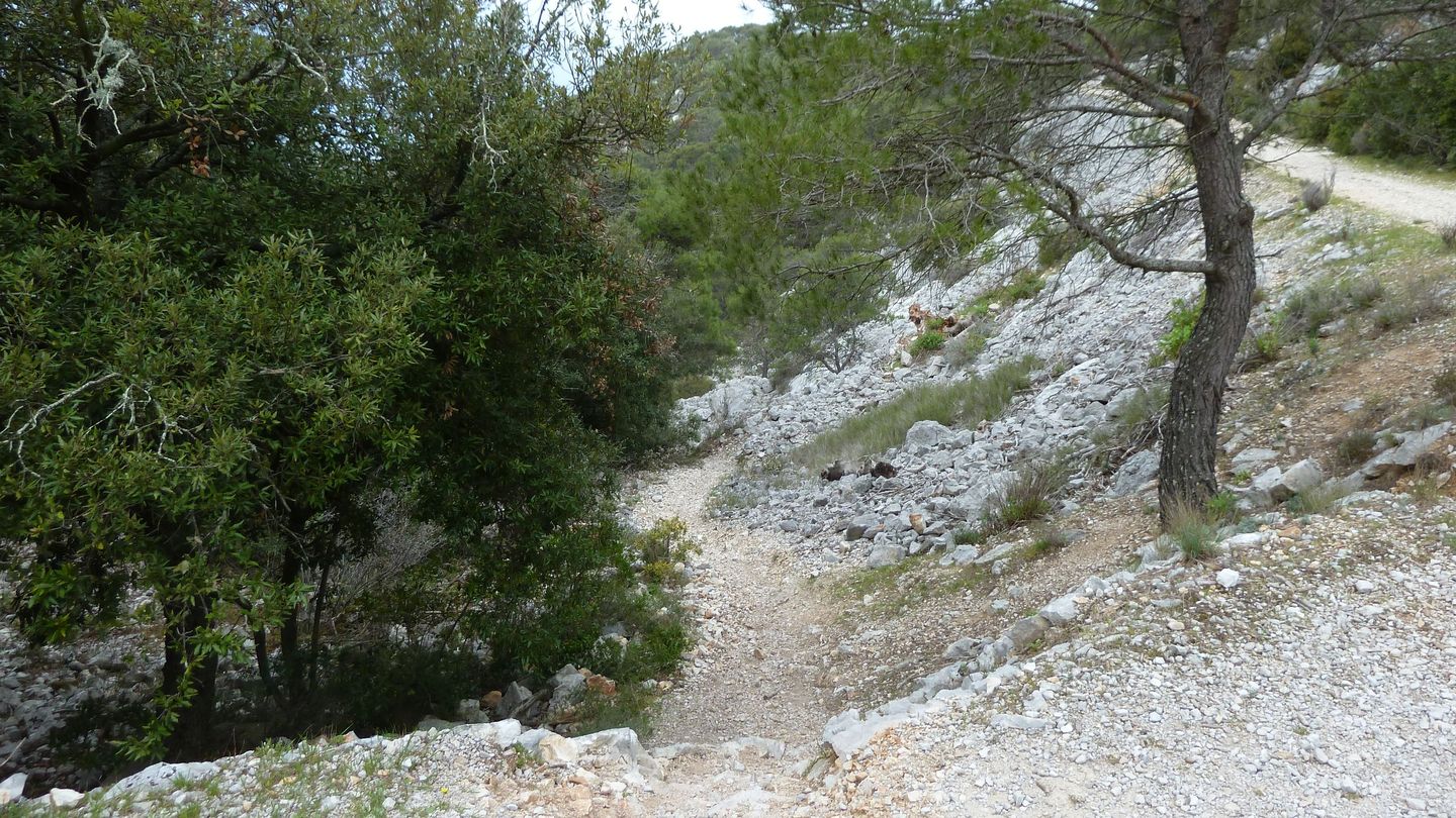 faron_complet_avril_2018_063.JPG