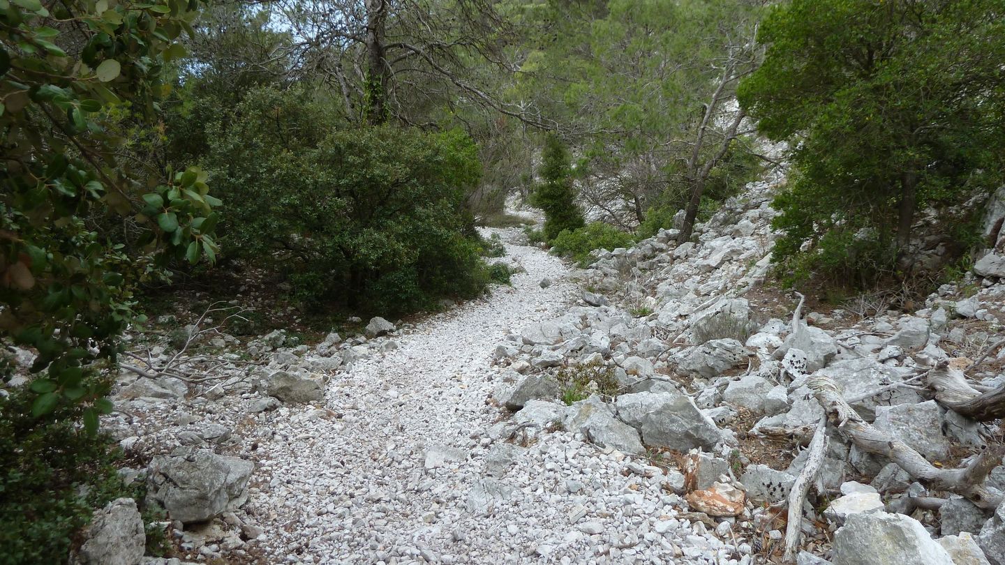 faron_complet_avril_2018_065.JPG