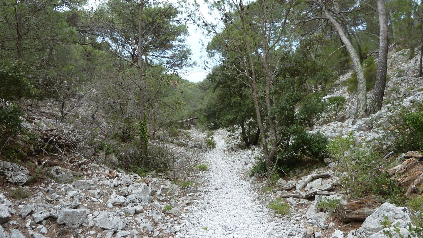 faron_complet_avril_2018_067.JPG